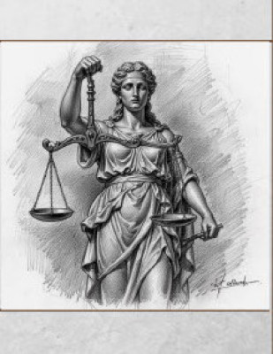 Remote Courts and Access to Justice in Canada: A Call for Legal Professional Perspectives